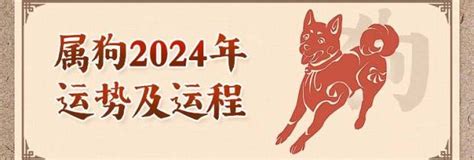 2024狗年運程1982|1982年属狗人2024年运势及运程女，82年42岁生肖。